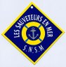 logo SNSM.jpg - 33.73 Kb